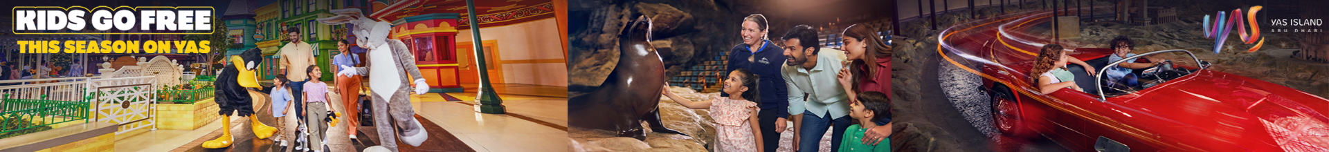 Yas Island - Theme Park Combo 